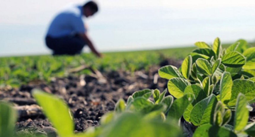 El desafío de “humanizar” la toma de decisiones a campo: “Están faltando ingenieros agrónomos”