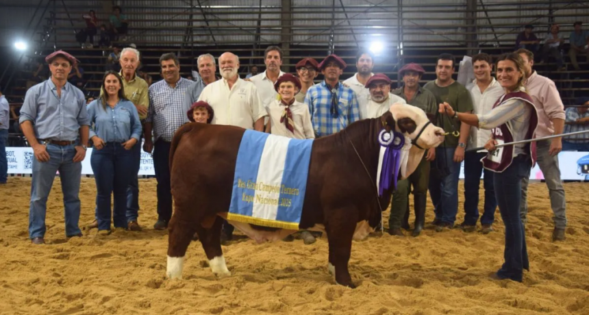 Santa Fe pisó fuerte en la Nacional del Ternero Braford