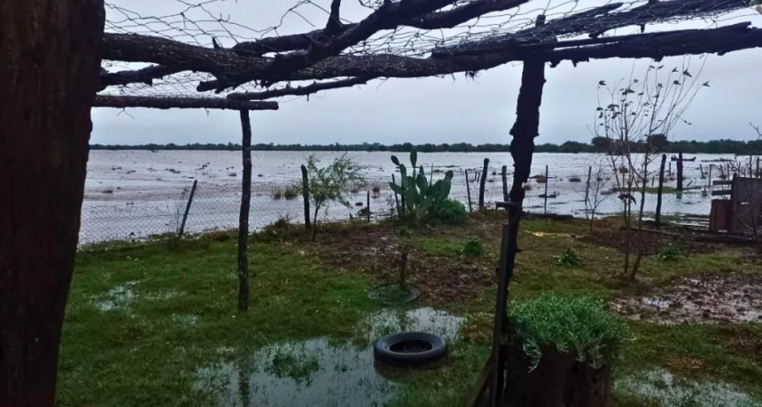 Temporal en el norte de Santa Fe: lluvias extremas y efectos dispares en el campo