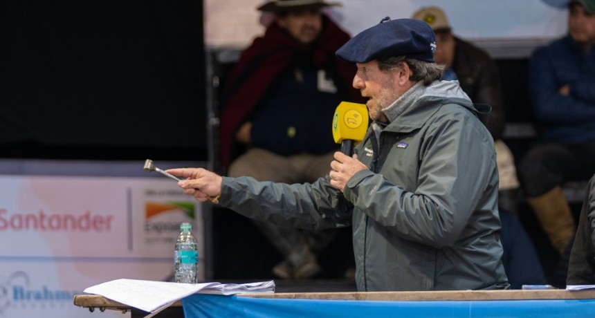 Los reproductores se muestran con demanda muy firme en Las Nacionales