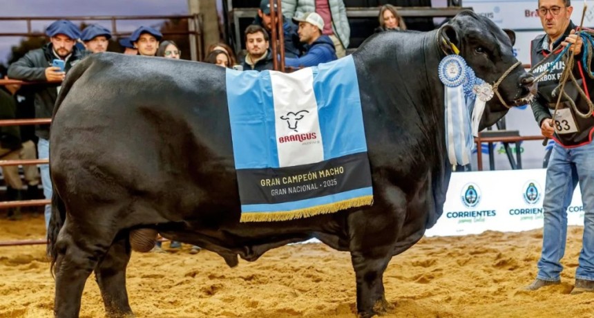 Las Nacionales 2026 llegan con m&aacute;s caba&ntilde;as y m&aacute;s de 1.000 animales en Corrientes