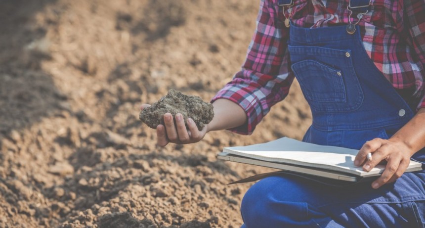 Un 74% de los productores agropecuarios cree que su situación mejorará en los próximos meses