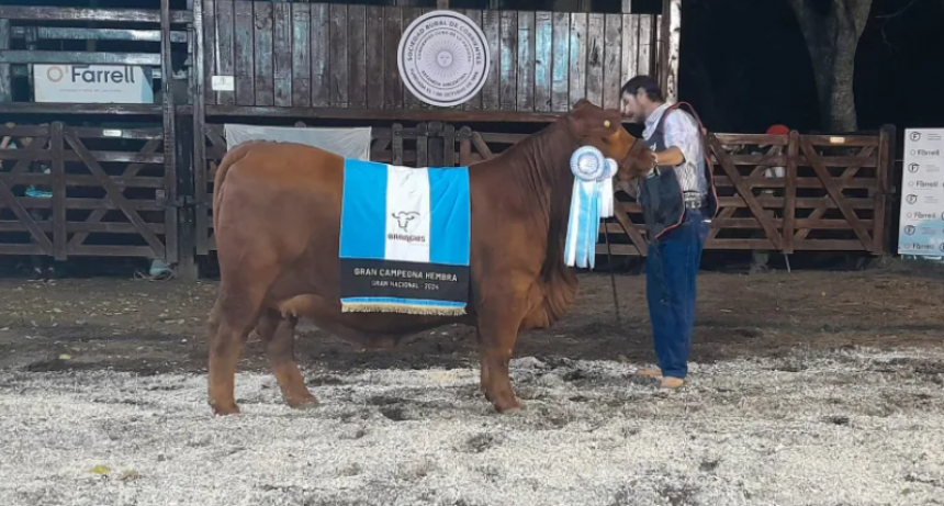 GRAN REMATE BRANGUS PARA EL CIERRE 