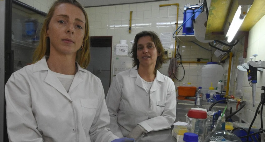 Investigadoras santafesinas detectaron beneficios medicinales del cannabis en tratamientos de cáncer