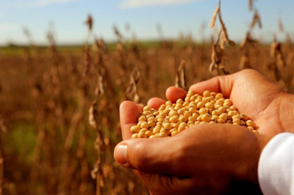 Productores santafesinos pagarán U$S 361 millones más