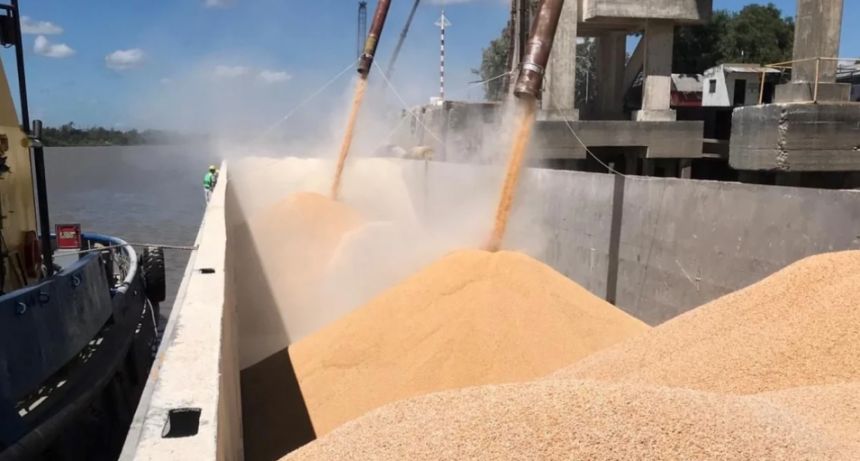 Agroexportadores liquidaron en mayo más de 3 mil millones de dólares