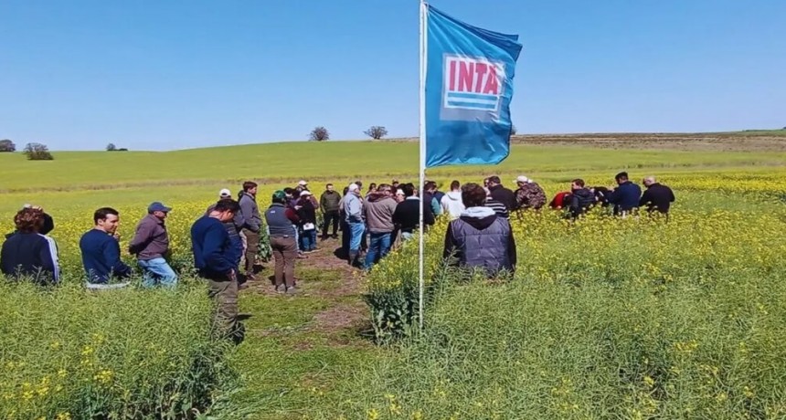 Mientras se demora el decreto “reestructurador”, el INTA cosecha más apoyos del ruralismo