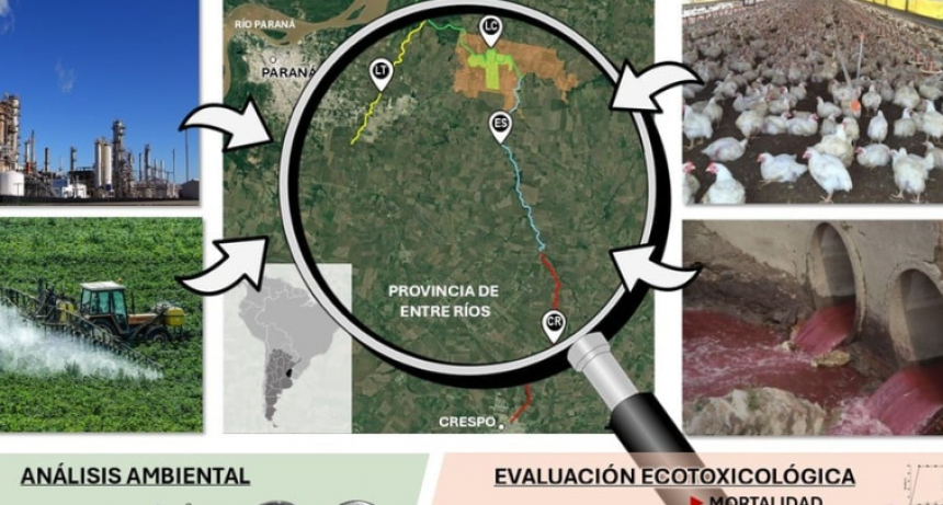 En arroyos de Santa Fe y Entre Ríos: detectan niveles récord de glifosato y toxicidad letal