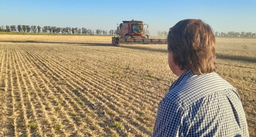 El productor agropecuario: una especie en extinción