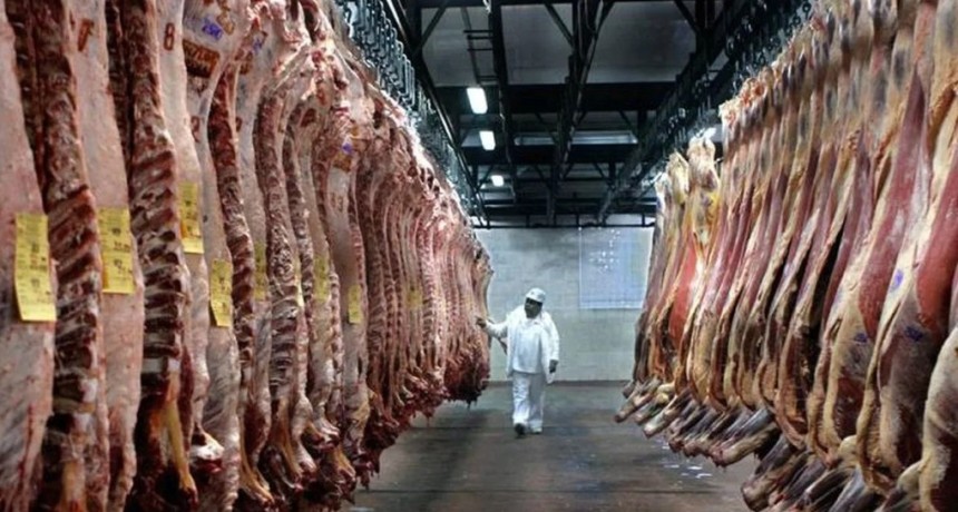 Carne bovina: c&oacute;mo aprovechar el viento de cola en el mercado mundial para que el sector despegue