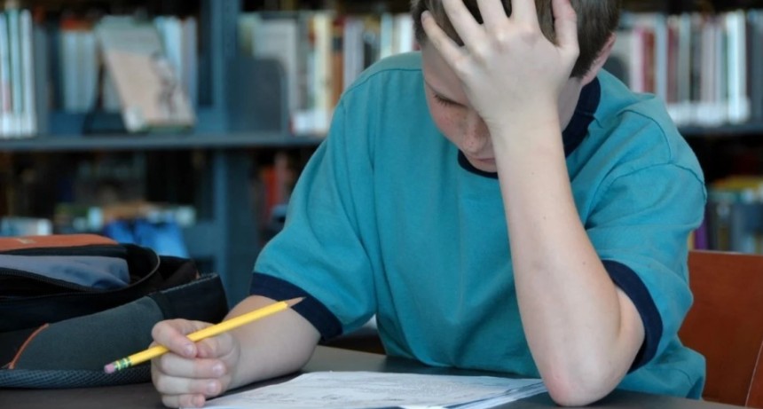 &iquest;Tu hijo tiene dificultades para aprender? el entorno donde crece podr&iacute;a influir m&aacute;s en su cerebro que el coeficiente intelectual