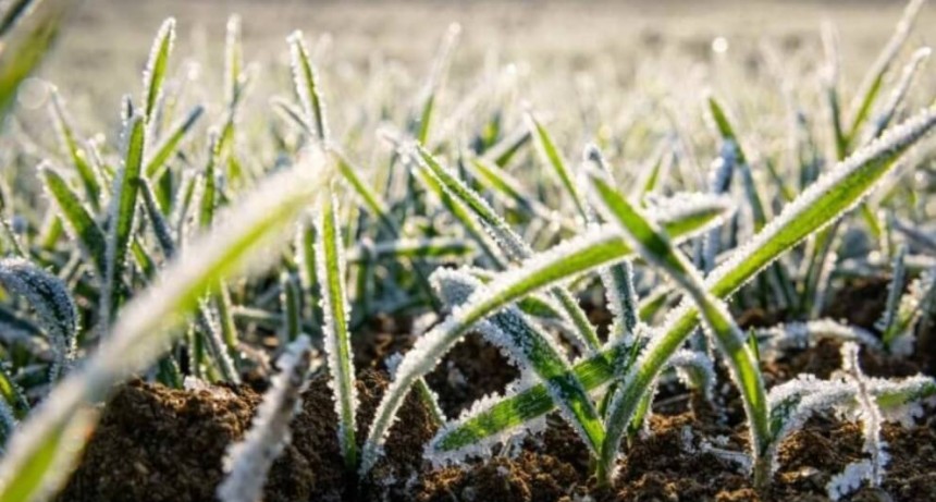 Pron&oacute;stico de heladas generalizadas: el invierno llega con vientos polares de &ldquo;gran vigor&rdquo;