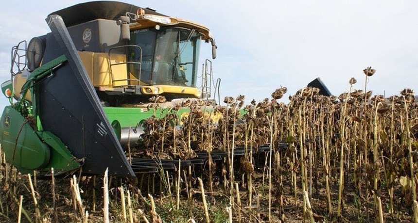 El boom del girasol impulsa tambi&eacute;n a la maquinaria: &ldquo;Movi&oacute; la aguja comercial&rdquo;