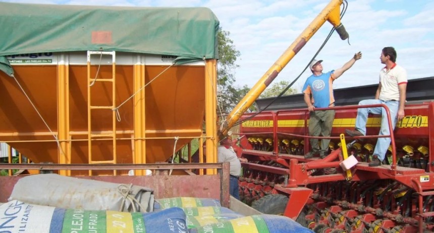 La urea volvi&oacute; a precios m&aacute;s normales y reaviva la apuesta por el ma&iacute;z y la fertilizaci&oacute;n del trigo