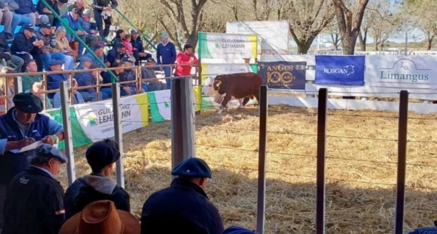 El gran remate de las Caba&ntilde;as Santafesinas abre la temporada de reproductores en Emilia