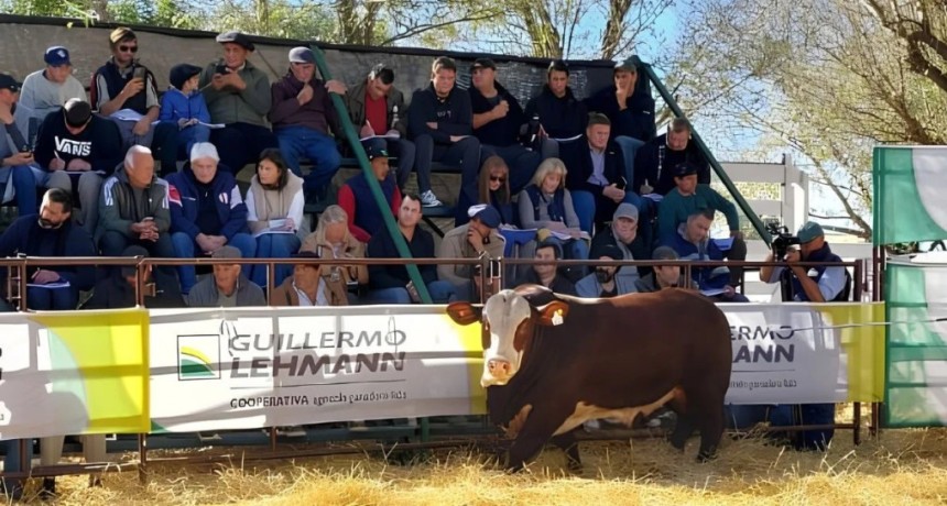Precios destacados para la gen&eacute;tica en Emilia: los ganaderos necesitaron menos kilos de hacienda para comprar reproductores