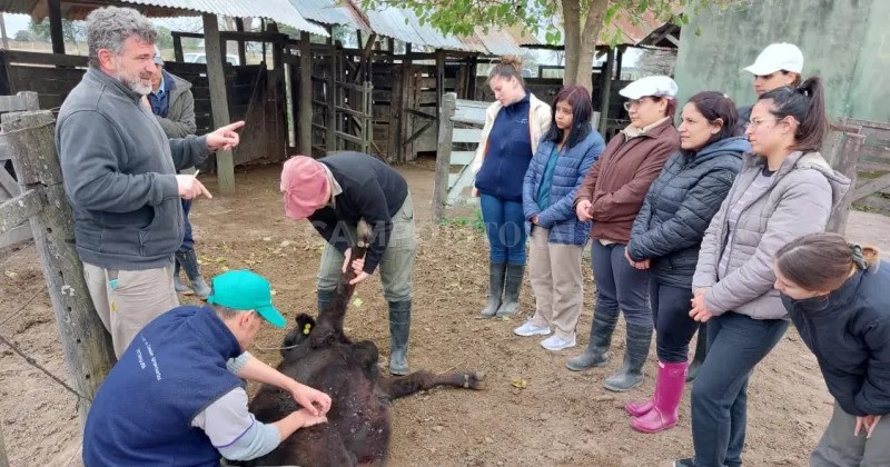 Estudiantes de Veterinaria en Estancia Las Gamas