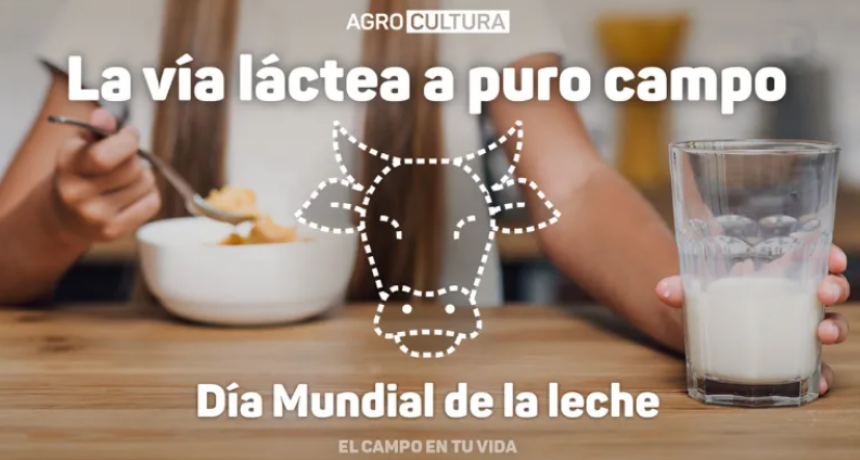 DÍA MUNDIAL DE LA LECHE 