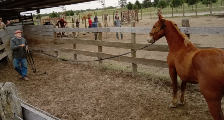 EXITOSO COMIENZO DEL CURSO DE CORRECCIÓN DE VICIOS EN CABALLOS Y PREVENCIÓN DE ACCIDENTES