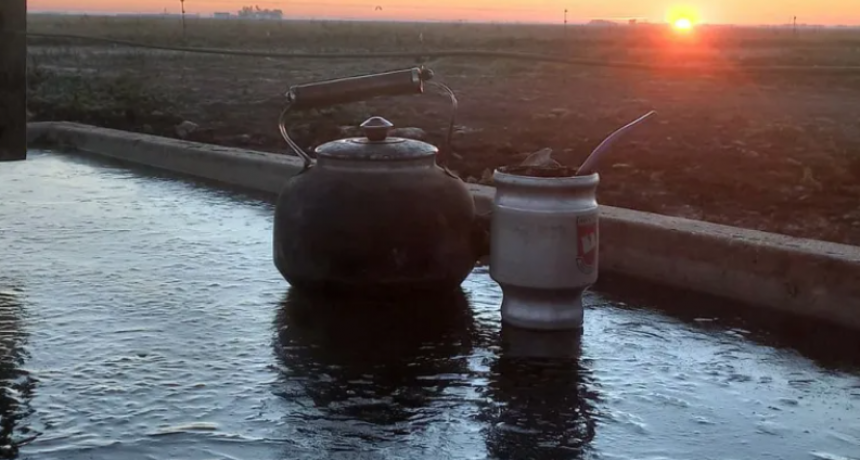 OLA POLAR EN EL CAMPO ARGENTINO: IMÁGENES IMPACTANTES DE UN INVIERNO EXTREMO