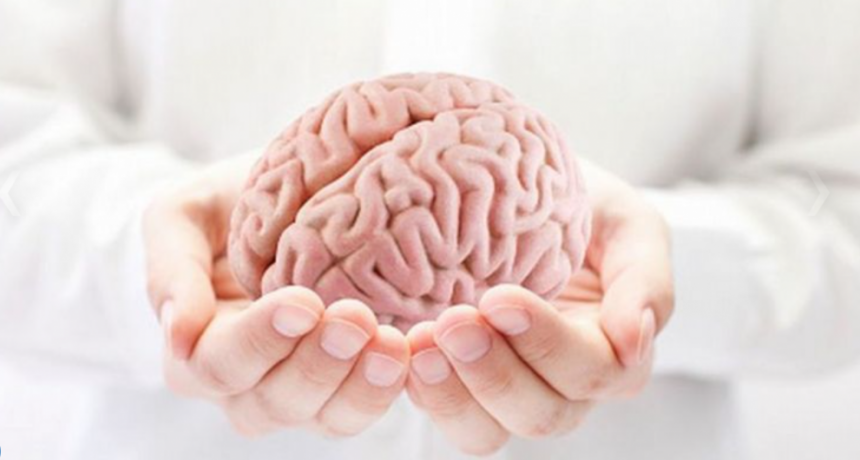 Día Mundial del Cerebro: qué porcentaje usamos y cómo cuidarlo
