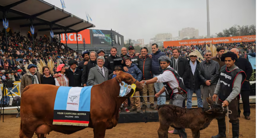 Eugenia se lució en la pista de Palermo y se consagró Gran Campeón Hembra de la raza Brangus
