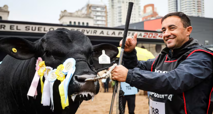 Exposición Rural: el toro Baldomero revalidó un título y se coronó Gran Campeón de la raza Brangus