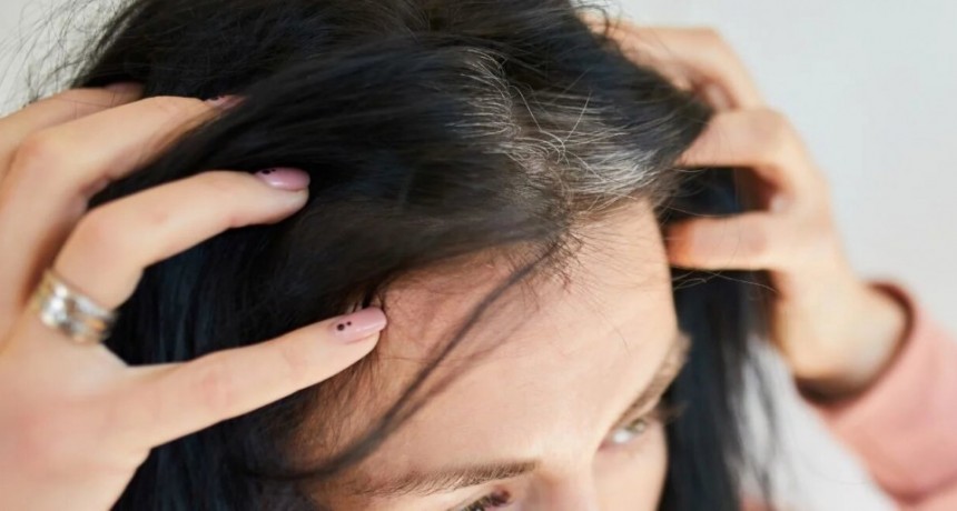 Las mejores técnicas para disimular las canas con resultados perfectos