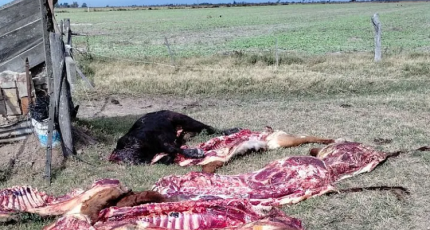 Decepcionados por el faltazo de la provincia, la Rural de Rafaela suspendió una reunión por inseguridad