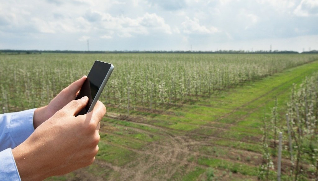 Google sigue de cerca al campo argentino: por qué observa un “rearraigo” en zonas rurales