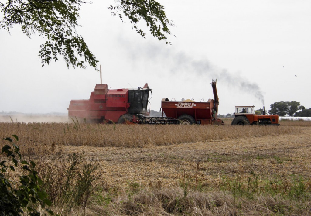 Mantenimiento y cobro de tasas dispar: productores de Santa Fe exigen reformas legislativas por el mal estado de los caminos rurales