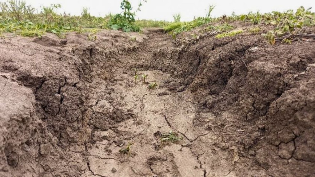 Región Centro: nace una Mesa Interprovincial para la conservación de los suelos