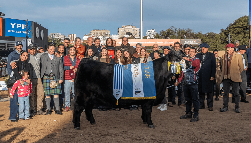 “Es un vacón”: una hembra Angus sobresale en Palermo al ser gran campeona por 2° año consecutivo