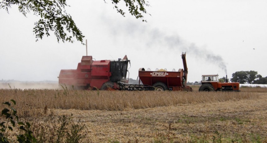 Mantenimiento y cobro de tasas dispar: productores de Santa Fe exigen reformas legislativas por el mal estado de los caminos rurales