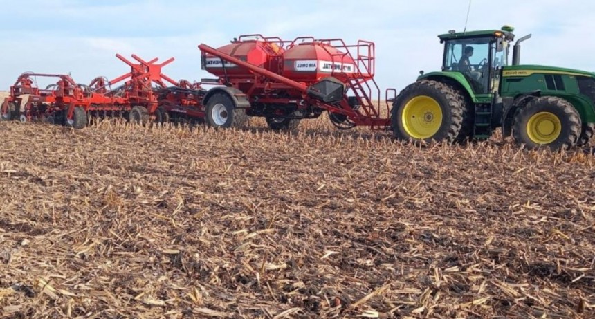 En vísperas del Día de la Independencia ¿Qué tan libre es el campo argentino? La respuesta, desde un análisis comercial y financiero