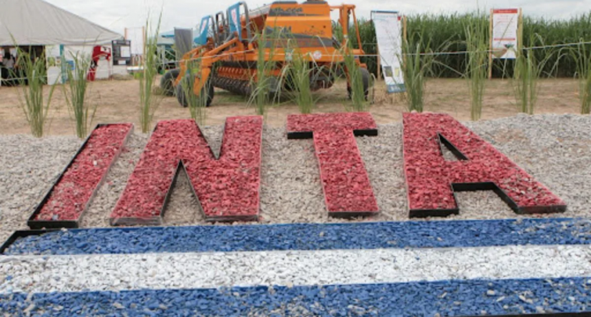 Asociaciones Rurales de Santa Fe advierten sobre el debilitamiento del INTA: “Es una herramienta clave para el agro argentino”