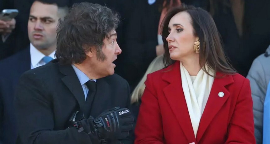 Gritan, votan, calculan: el drama del poder sin rumbo