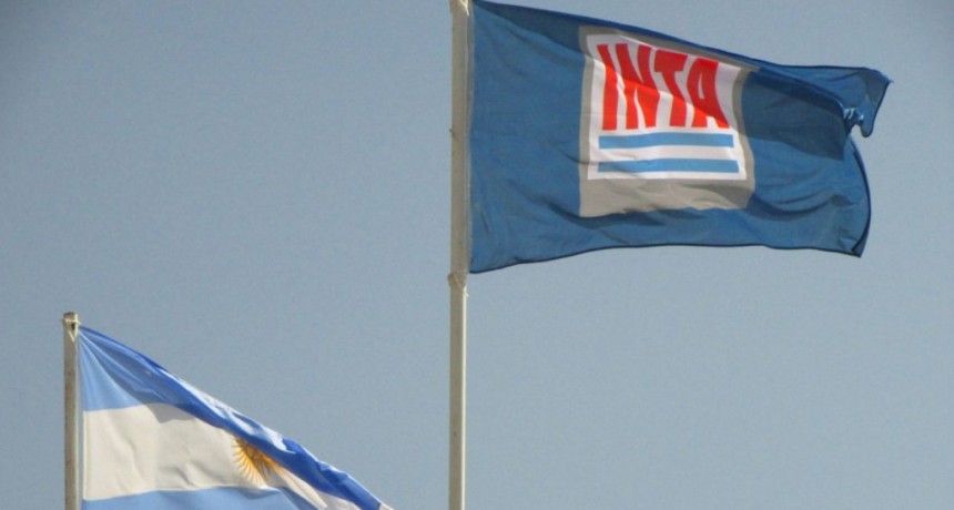 INTA: las hectáreas que el Gobierno podría vender tras un análisis clave