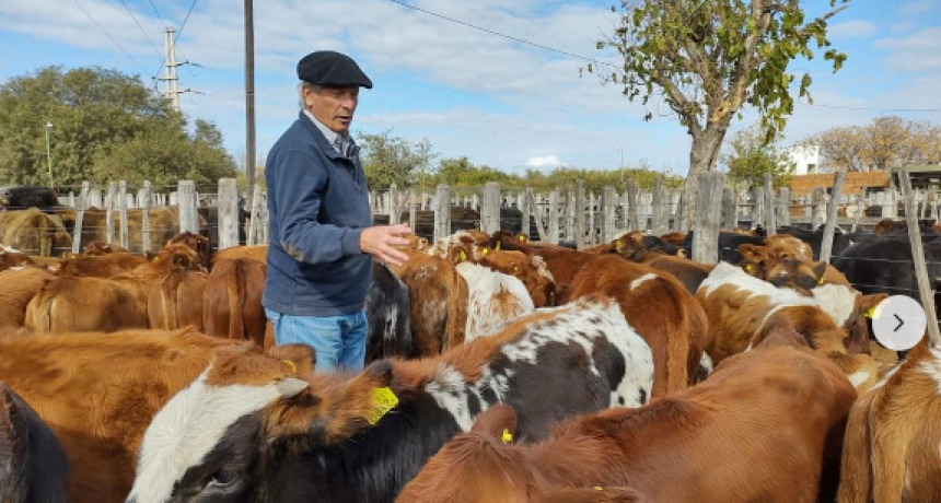 La raza vacuna con más pasado y con más futuro