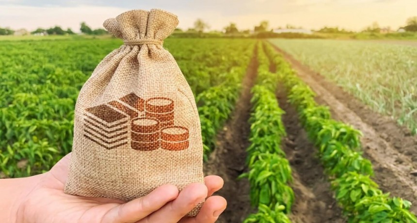 El Congreso eliminó una exención fiscal para las SGR y desde el agro piden reverlo: “El impacto es grave”