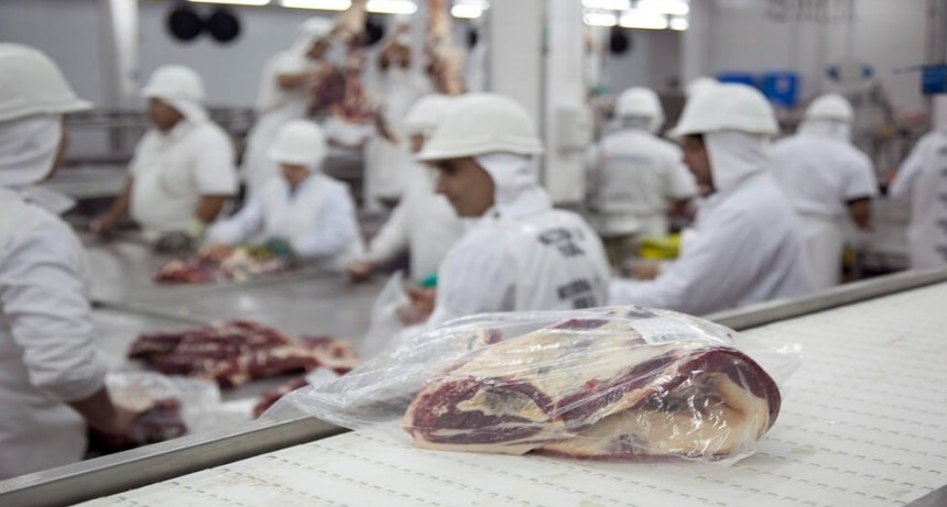 Tras un inicio de año desafiante, las exportaciones de carne consolidan signos de recuperación