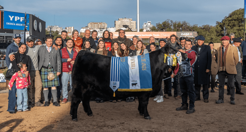 “Es un vacón”: una hembra Angus sobresale en Palermo al ser gran campeona por 2° año consecutivo