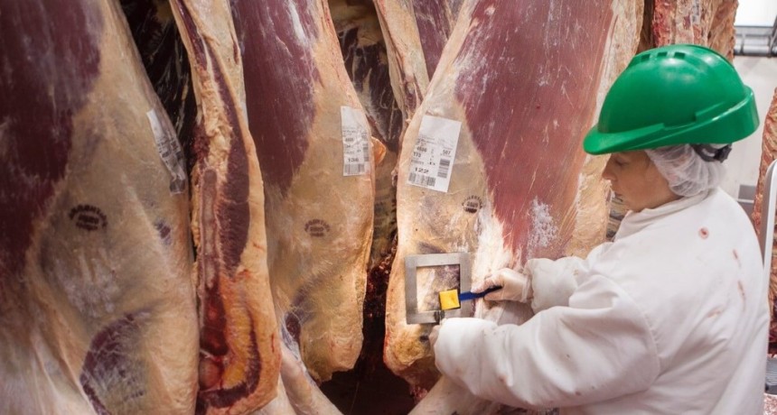 La faena bovina se redujo 8,9% en el primer semestre y signific&oacute; casi 100.000 toneladas menos de carne