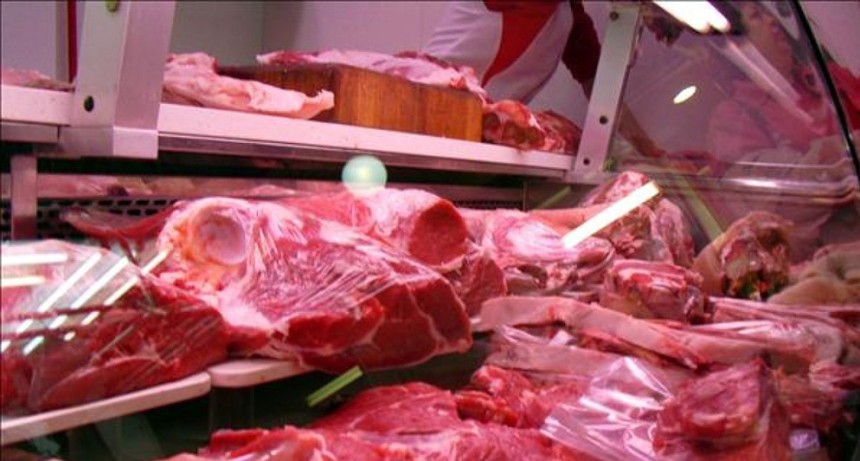 El precio de la hacienda y de la carne: frigor&iacute;ficos ven una &ldquo;meseta de estabilidad&rdquo; hasta la primavera