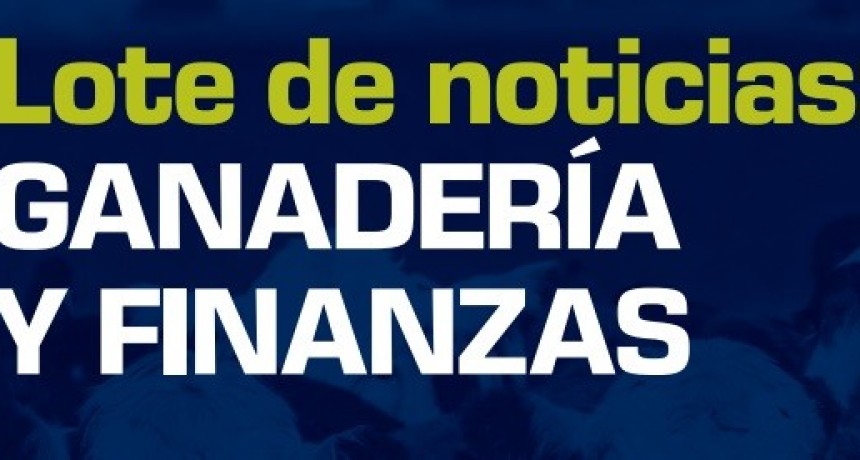 Noticias de Rosgan: Exportación de ganado en pie, una puerta más de conexión al mundo