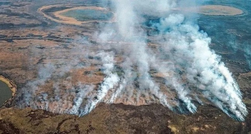Ley de humedales: por qu&eacute; duerme en el Congreso hace 10 a&ntilde;os