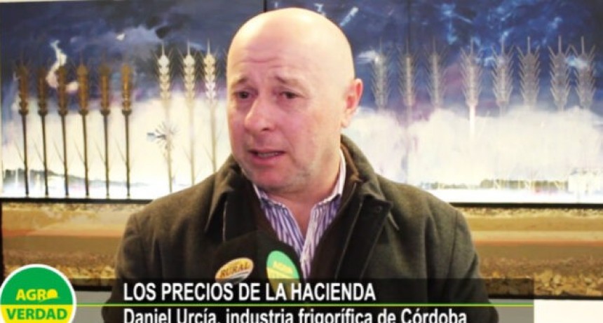 “Una golondrina no hace verano”: Daniel Urcia analiza la suba de precios de la hacienda
