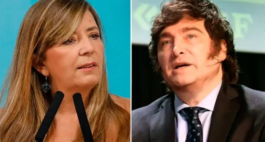 El Gobierno apuntó contra Javier Milei por la difusión de las imágenes de saqueos: “Quieren desestabilizar”
