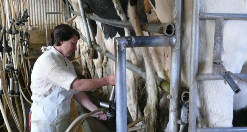 Nación y Provincia lanzaron créditos tamberos sin interés a pagar en litros de leche