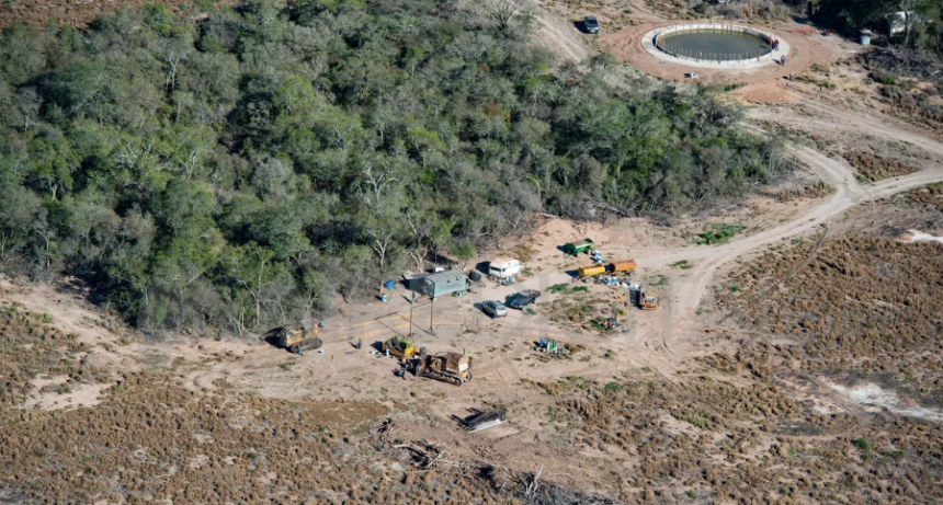 Ambiente: el precio de la deforestación y el silencio de los árboles